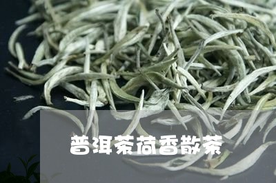 普洱茶荷香散茶/2023081870613