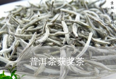 普洱茶获奖茶/2023102692803