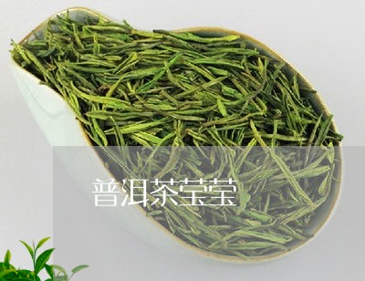 普洱茶莹莹/2023090633836