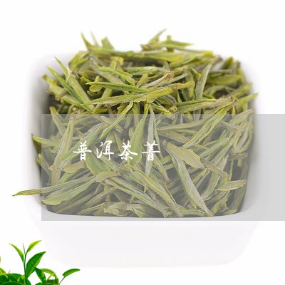 普洱茶菁/2023083121613