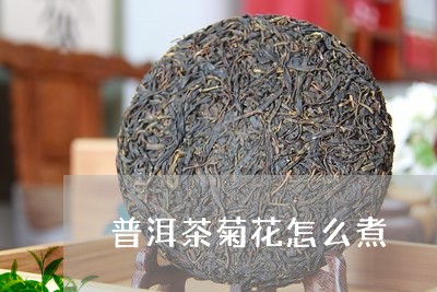 普洱茶菊花怎么煮/2023110981704