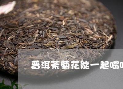 普洱茶菊花能一起喝吗/2023061581614