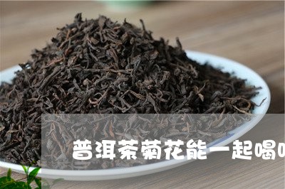 普洱茶菊花能一起喝吗/2023092731515