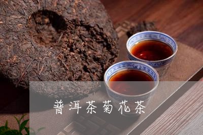 普洱茶菊花茶/2023042991689