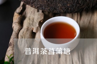 普洱茶菖蒲塘/2023042654979