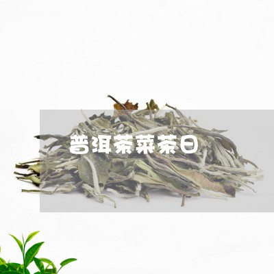 普洱茶菜茶日/2023042893260