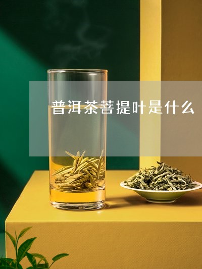 普洱茶菩提叶是什么/2023120522937