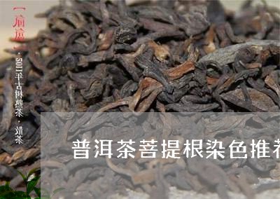 普洱茶菩提根染色推荐/2023062553046