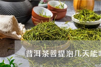 普洱茶菩提泡几天能喝/2023083024269