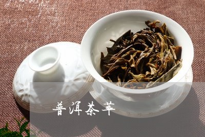 普洱茶萃/2023083192805