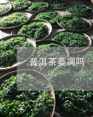 普洱茶萎凋吗/2023042566171