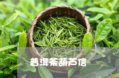 普洱茶葫芦信/2023042744182