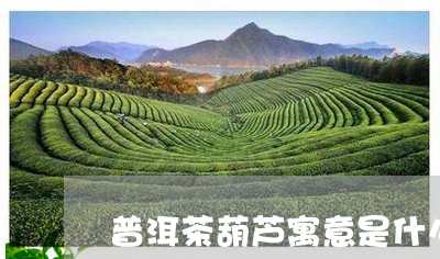 普洱茶葫芦寓意是什么样的/2023110250795