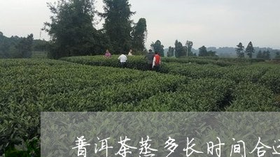 普洱茶蒸多长时间合适喝/2023112758250