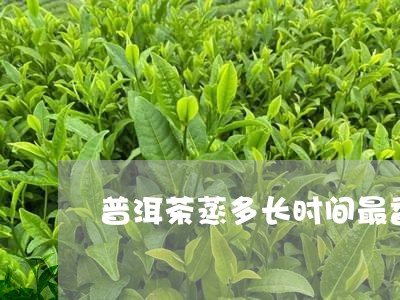 普洱茶蒸多长时间最香/2023092606480