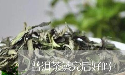 普洱茶蒸完后好吗/2023120375725