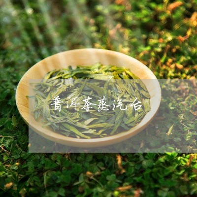 普洱茶蒸汽台/2023042640594