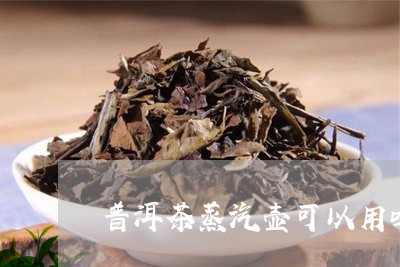 普洱茶蒸汽壶可以用吗/2023072441615