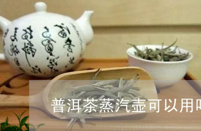 普洱茶蒸汽壶可以用吗/2023092882836