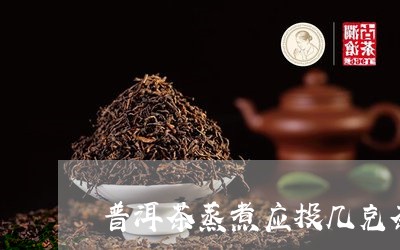 普洱茶蒸煮应投几克茶叶/2023083099794