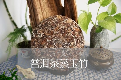 普洱茶蒸玉竹/2023042775801