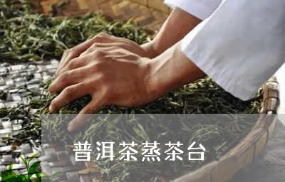 普洱茶蒸茶台/2023042846685