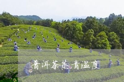 普洱茶蒸青温度/2023083068604