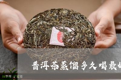 普洱茶蒸馏多久喝最好/2023080304925