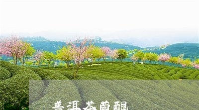 普洱茶蒽醌/2023090672747