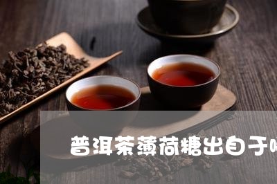 普洱茶薄荷糖出自于哪个产区/2023082614038