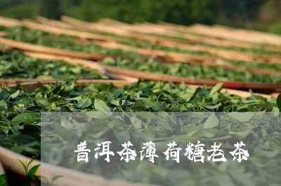 普洱茶薄荷糖老茶/2023102634057