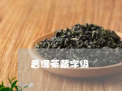 普洱茶藏字级/2023112695937