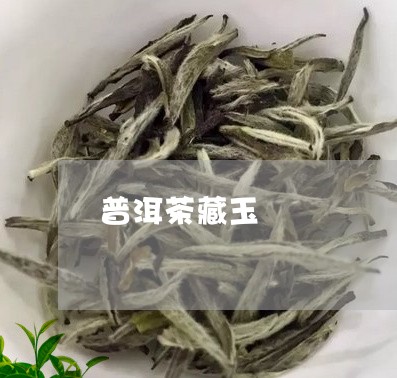 普洱茶藏玉/2023102512937