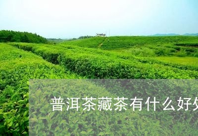 普洱茶藏茶有什么好处/2023080339370