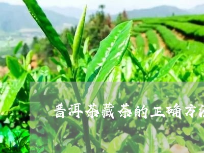 普洱茶藏茶的正确方法/2023080239591