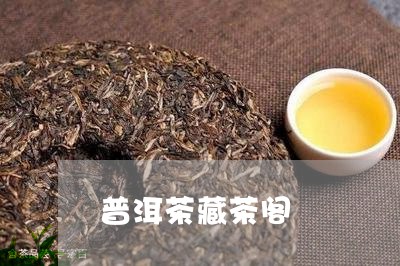 普洱茶藏茶阁/2023042877602