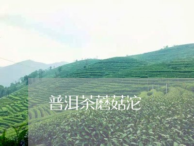 普洱茶蘑菇沱/2023042854874