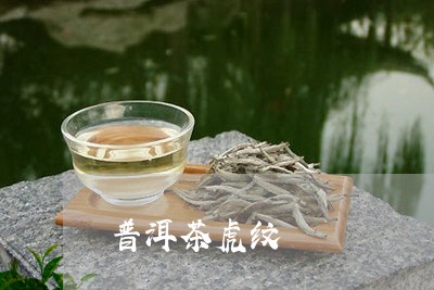 普洱茶虎纹/2023102553893