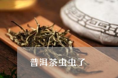 普洱茶虫虫了/2023102514927