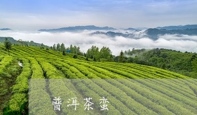 普洱茶蛮/2023110852957