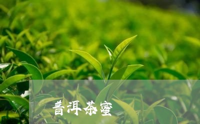 普洱茶蜜/2023110886936