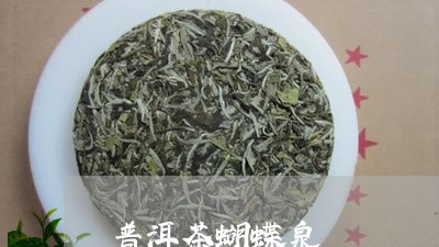 普洱茶蝴蝶泉/2023042520311