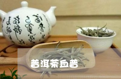 普洱茶血普/2023090637150