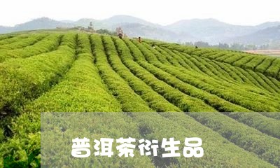 普洱茶衍生品/2023042910710