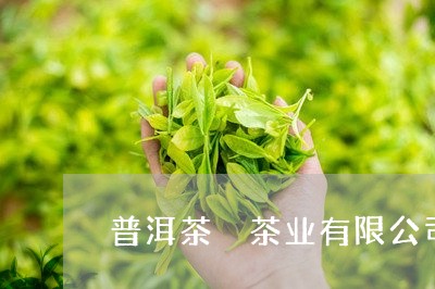 普洱茶袓茶业有限公司/2023061439382