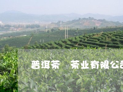 普洱茶袓茶业有限公司/2023092564949