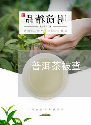 普洱茶被查/2023090525169