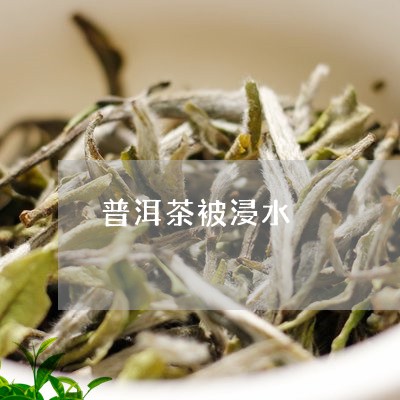 普洱茶被浸水/2023042783649