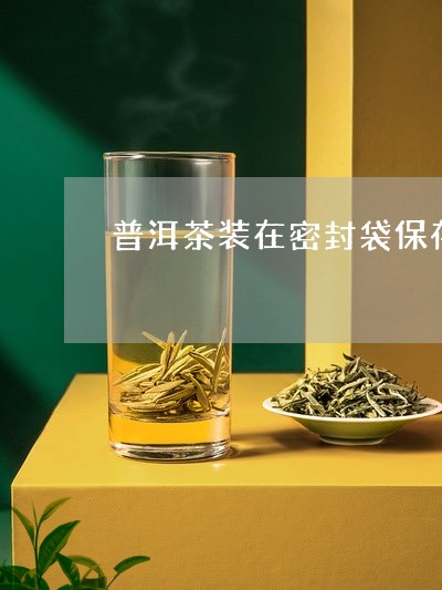 普洱茶装在密封袋保存/2023080172693