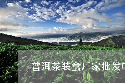 普洱茶装盒厂家批发电话/2023120723636